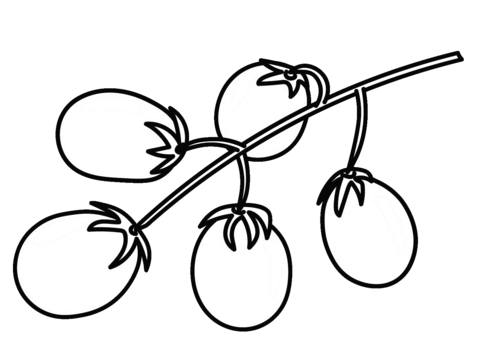 Cherry Tomato Coloring Page